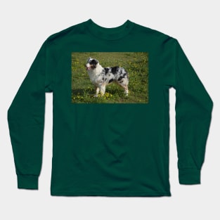 miniature american shepherd blue merle full second Long Sleeve T-Shirt